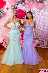 Taffeta and Lace-PROM-FROCKS-2024-1055