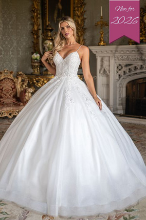 Taffeta and Lace Rachel Allan RB6196