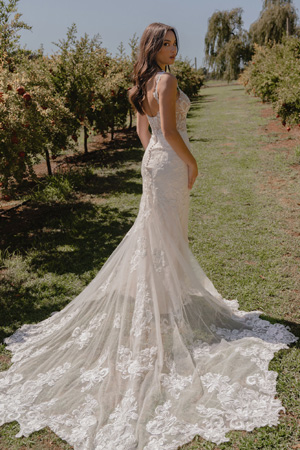 Taffeta and Lace Wedding Dresses Gloucester SAVINA_ML24222_4